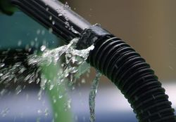 Mietminderung Wasserschaden Bild