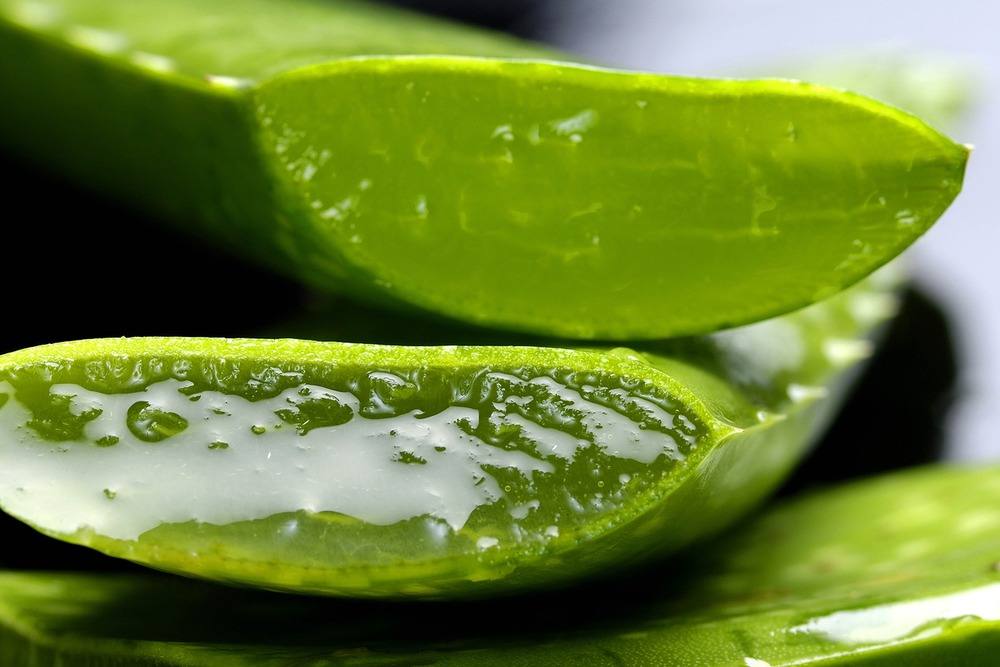 Warum sollte ich Aloe Vera Gel trinken?
