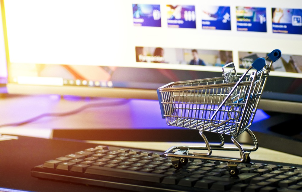 E-Commerce als wichtiges Handelsinstrument