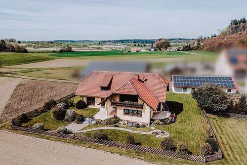 Ihre drei Optionen - 