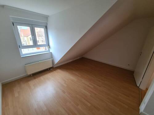 DG Studio - 