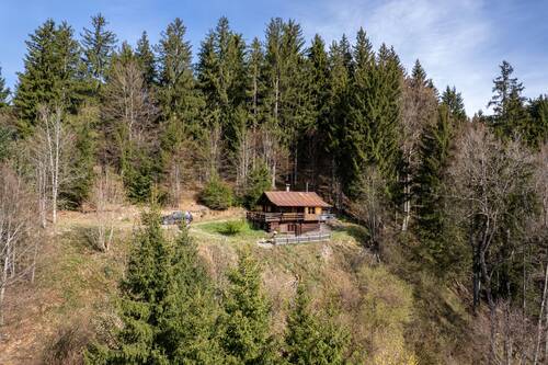 Berghütte - Berghütte mit 3 ha Wald im Naturschutzgebiet Adelegg - Ruhe und Natur pur mit herrlicher Alpensicht