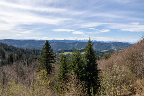 Alpenblick - 2 Zimmer Mehrfamilienhaus, Wohnhaus in Isny