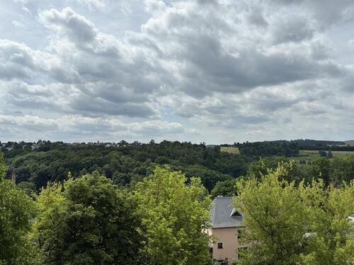 Foto - 3 Zimmer Etagenwohnung zur Miete in Reichenbach im Vogtland