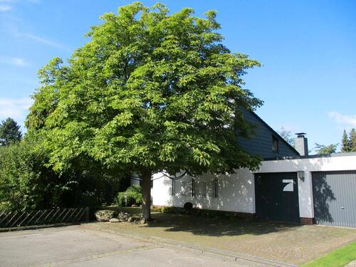 Foto - Modernes, hochwertiges Einfamilienhaus in der BGS Siedlung