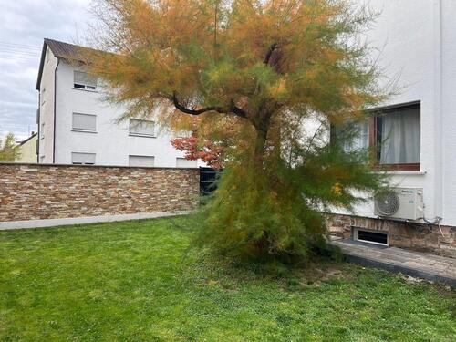 Foto - Einfamilienhaus in Hattersheim am Main