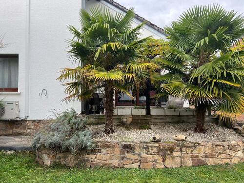 Foto - Einfamilienhaus in Hattersheim am Main zum Kaufen