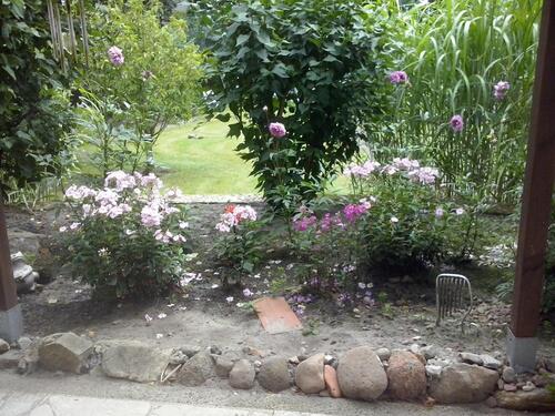 Foto - Mehrfamilienhaus, Wohnhaus in Bad Fallingbostel zum Kaufen