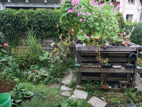 Foto - Mehrfamilienhaus, Wohnhaus in Sonneberg zum Kaufen