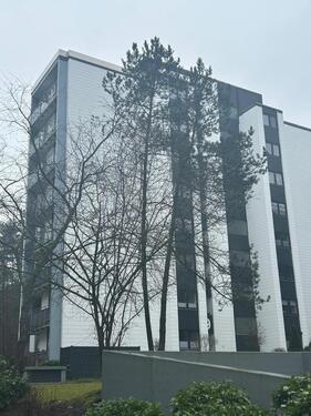 Foto - Klein Hehlen liegt Ihnen zu Füßen