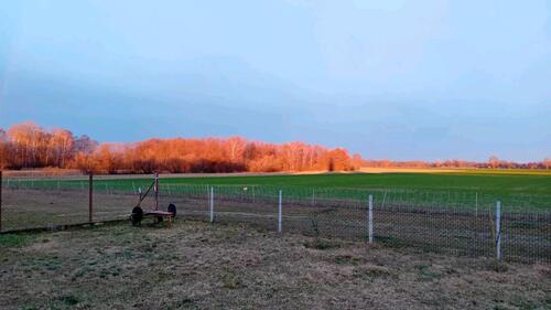 Foto - Massive Baukonstruktion mit großem Grundstück in ruhiger lage