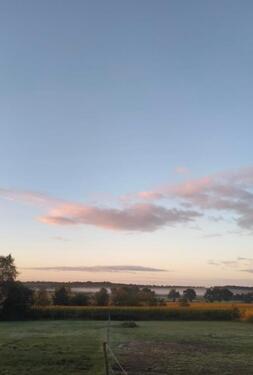 Foto - Einfamilienhaus zum Kaufen in Husum