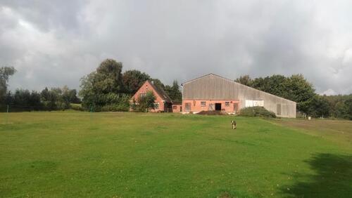 Foto - Einfamilienhaus in Husum