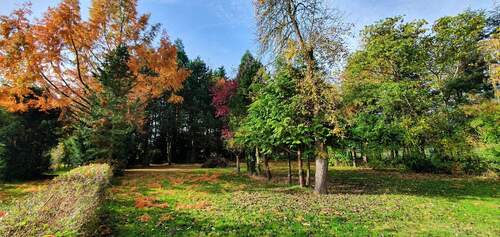 Ansichten - Grundstück - Wald - 