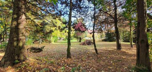 Ansichten - Grundstück - Wald - 