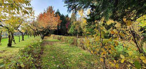 Ansichten - Grundstück - Wald - 
