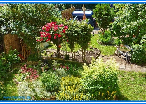 Garten hinter dem Haus - 3 Zimmer Etagenwohnung in Köthen