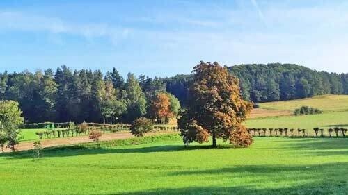 Bild 3 - 9 Zimmer Einfamilienhaus in Gössweinstein