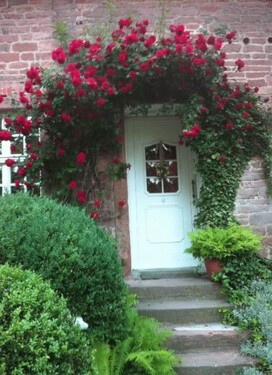 Bild 3 - 4 Zimmer Einfamilienhaus in Altenhausen