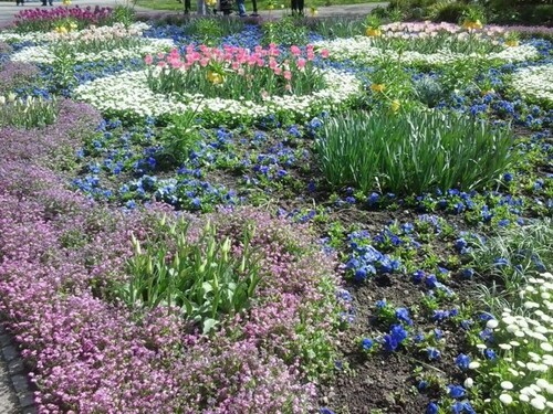 Bild 1 - 4-Familien-Doppelhaushälfte - 450.000,00&nbsp;EUR Kaufpreis, ca.&nbsp; 300,00&nbsp;m&sup2;&nbsp;Wohnfl&auml;che