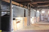 Bild 4 - Einfamilienhaus mit 400,00 m&sup2; in Wurster Nordseeküste zum Kaufen