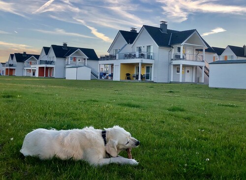 Für Mensch und Tier ein Paradies – hier fühlen sich alle willkommen - 