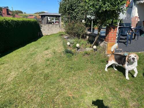 Foto - Haus zum Kaufen in Gedern 275.000,00 € 142 m²