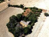 Haus in Senigallia, Marche, 9.275 m²