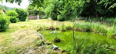 Foto - NATUR PUR  ENTSPANNUNG ZUHAUSE