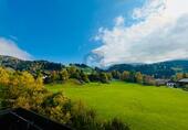 FAMILIENTRAUM MIT TOLLER SICHT - 779.000,00 EUR Kaufpreis, ca.  180,00 m² Wohnfläche in Oberstaufen (PLZ: 87534)