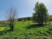 Unmittelbar vorm Haus - 
