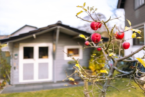 Schönes Gartenhaus - 