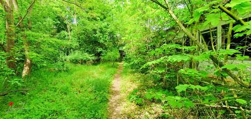 Ansicht - Lost Places & Naturidyll, perfekte Lage für Ferienunterkünfte!
