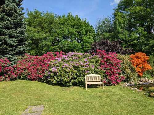 Gartenidylle - 7 Zimmer Einfamilienhaus in Homburg