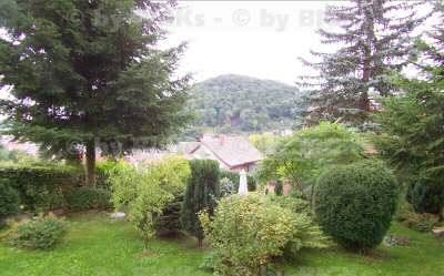 garten - BIGKs: Suhl - Zweifamilienhaus zum Kauf mit 2-3 Wohnungen - nur für Selbstnutzer