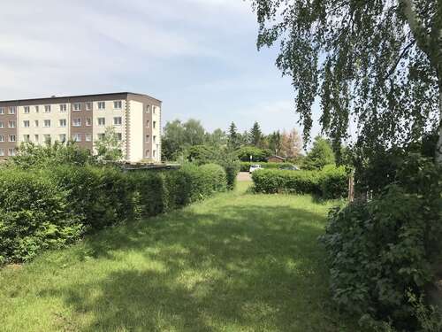 gepflegte Kleingärten - 