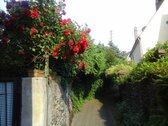 Foto - 4 Zimmer Einfamilienhaus zum Kaufen in St. Goarshausen