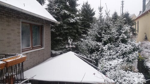 Foto - 4 Zimmer Einfamilienhaus in St. Goarshausen