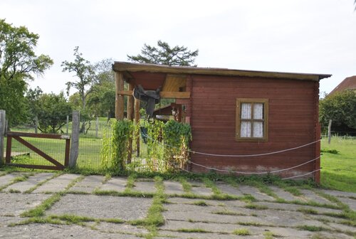 Foto - 