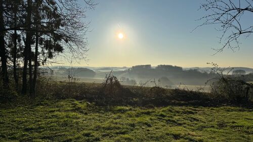 Fernblick vom Grundstück morgens - 