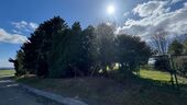 IMG_9147 2 - 