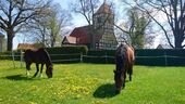 Blick vom Obstgarten - 