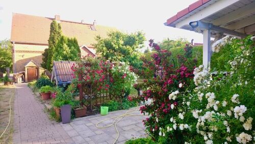 Terrasse Stall - 