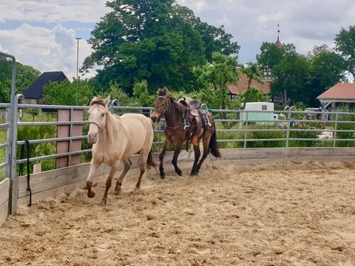 Roundpen - 