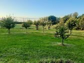 Obstgarten - 