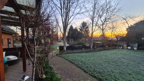 Sonnenaufgang Sommer 2023 mit Teichblick - 