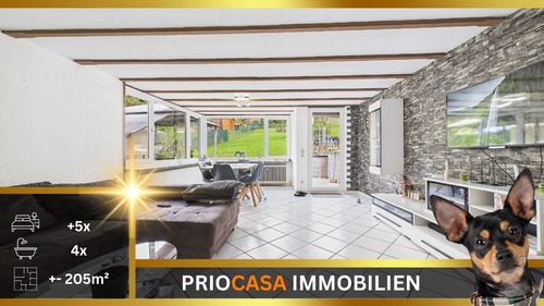 Euren 1 - Trier-Euren: Voll vermietetes Mehrfamilienhaus – 205 m² Wohnfläche, 3 Wohnungen, 2.050 EUR Kaltmiete Monat, Terrasse & virtuelle Besichtigung