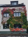 Schönes Haus mit 7 Zimmern in Bonn, Beuel