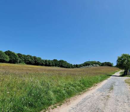 Zum Lotsenberg - Einfamilienhaus mit 160,00 m&sup2; in Mönchgut zum Kaufen