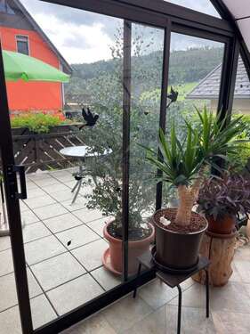 Wintergarten Blick auf die Terrasse - 